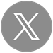 X Icon